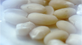 blog 料理教室スケジュール