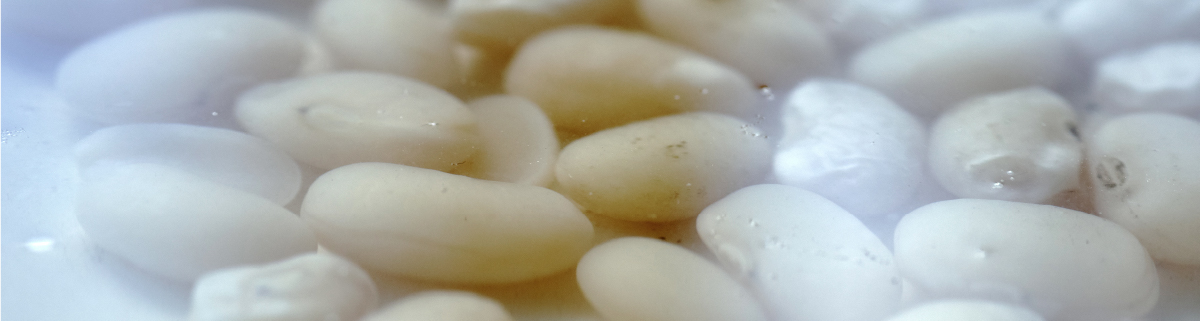 blog 料理教室スケジュール